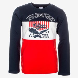Pull aigle rouge
