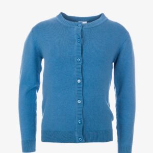 Gilet bleu